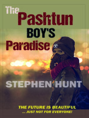 cover image of The Pashtun Boy's Paradise